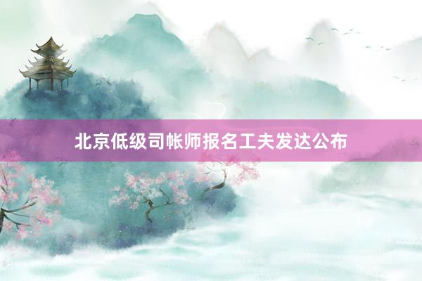 北京低级司帐师报名工夫发达公布